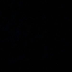 Meet your Posher, Mason